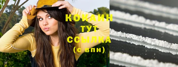 шишки Новодвинск