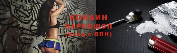 сатива Баксан