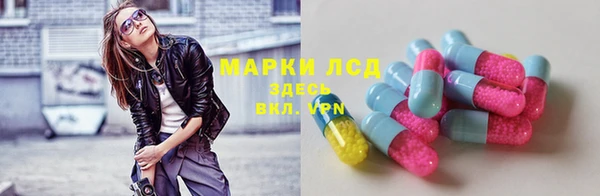 сатива Баксан