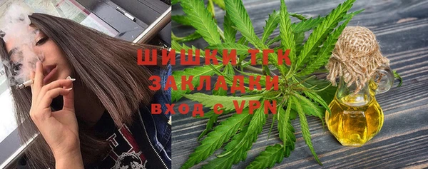 спиды Новозыбков