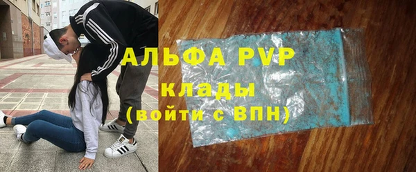 сатива Баксан