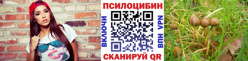 мега ТОР Бикин Псилоцибиновые грибы мухоморы закладки